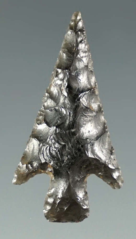 1 1/8" Columbia Plateau made from Obsidian. Found near the Columbia River, Oregon.