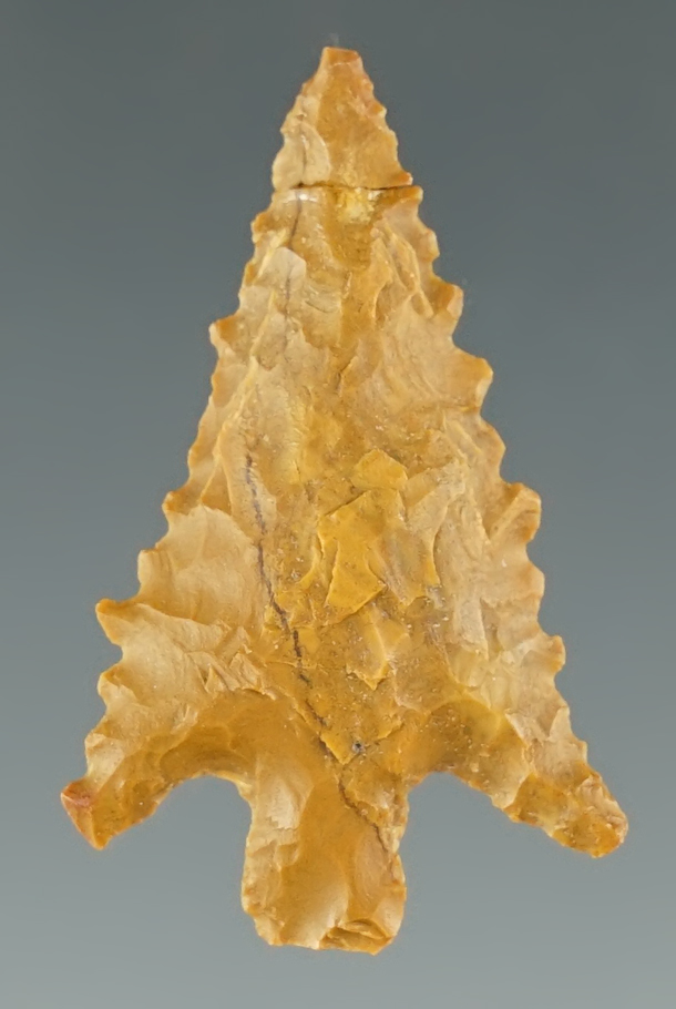1/1/4" Gunther Barbed made from yellow Jasper. The tip is glued. Found in southern Oregon.