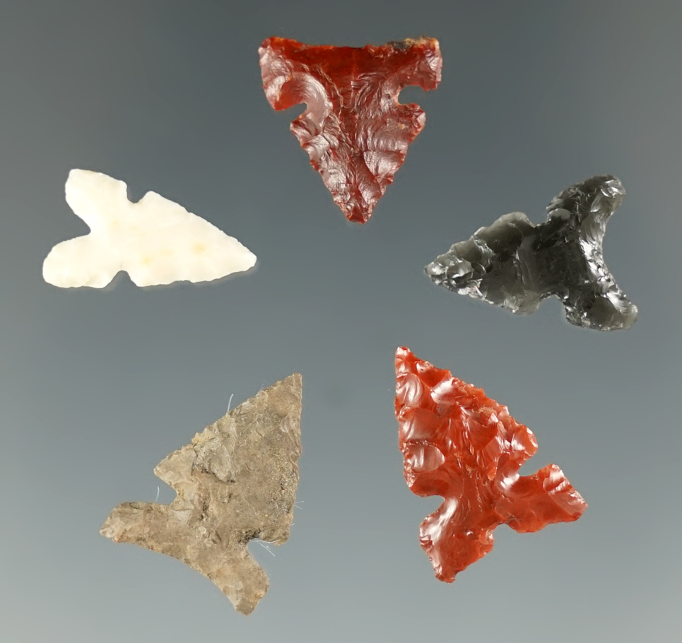 Set of 5 Desert Sierra Points found near the Columbia River, Oregon. Longest is 5/8".