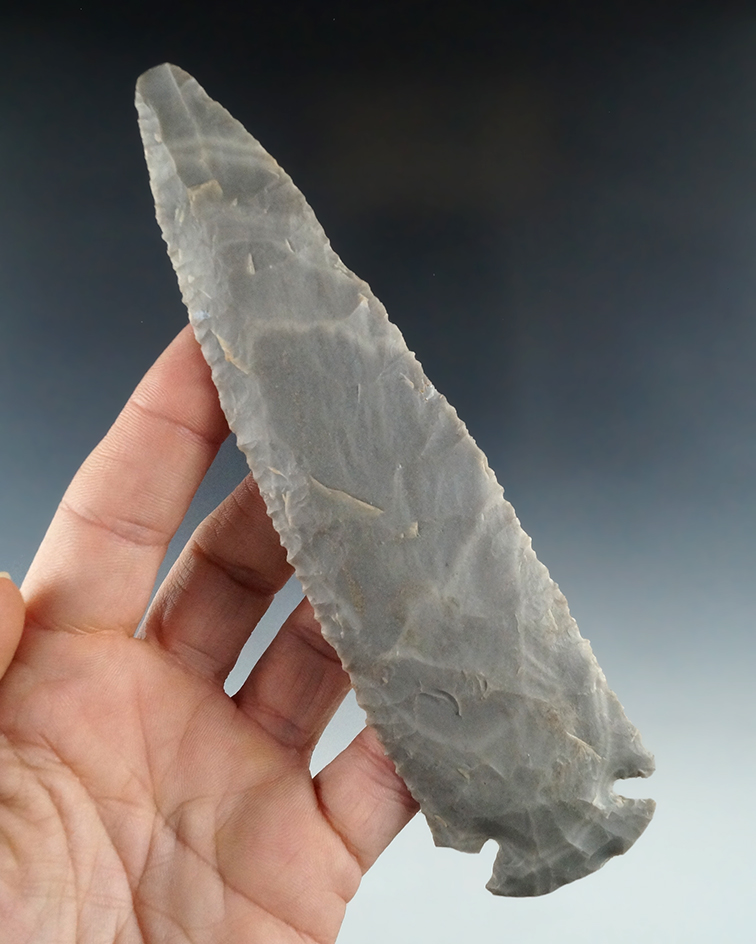 Main artifact image