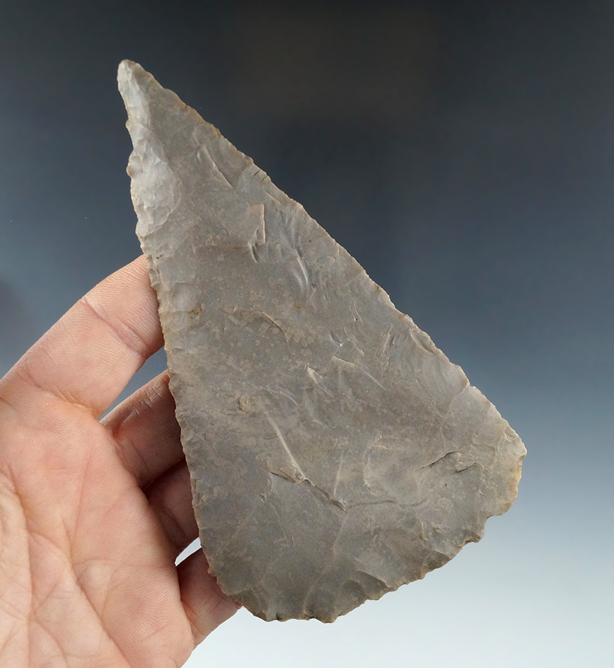 Main artifact image
