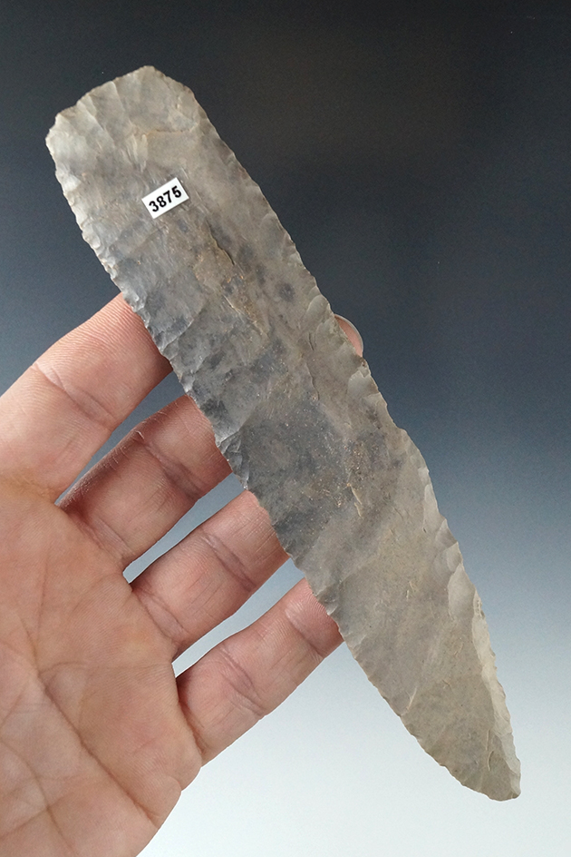 Main artifact image