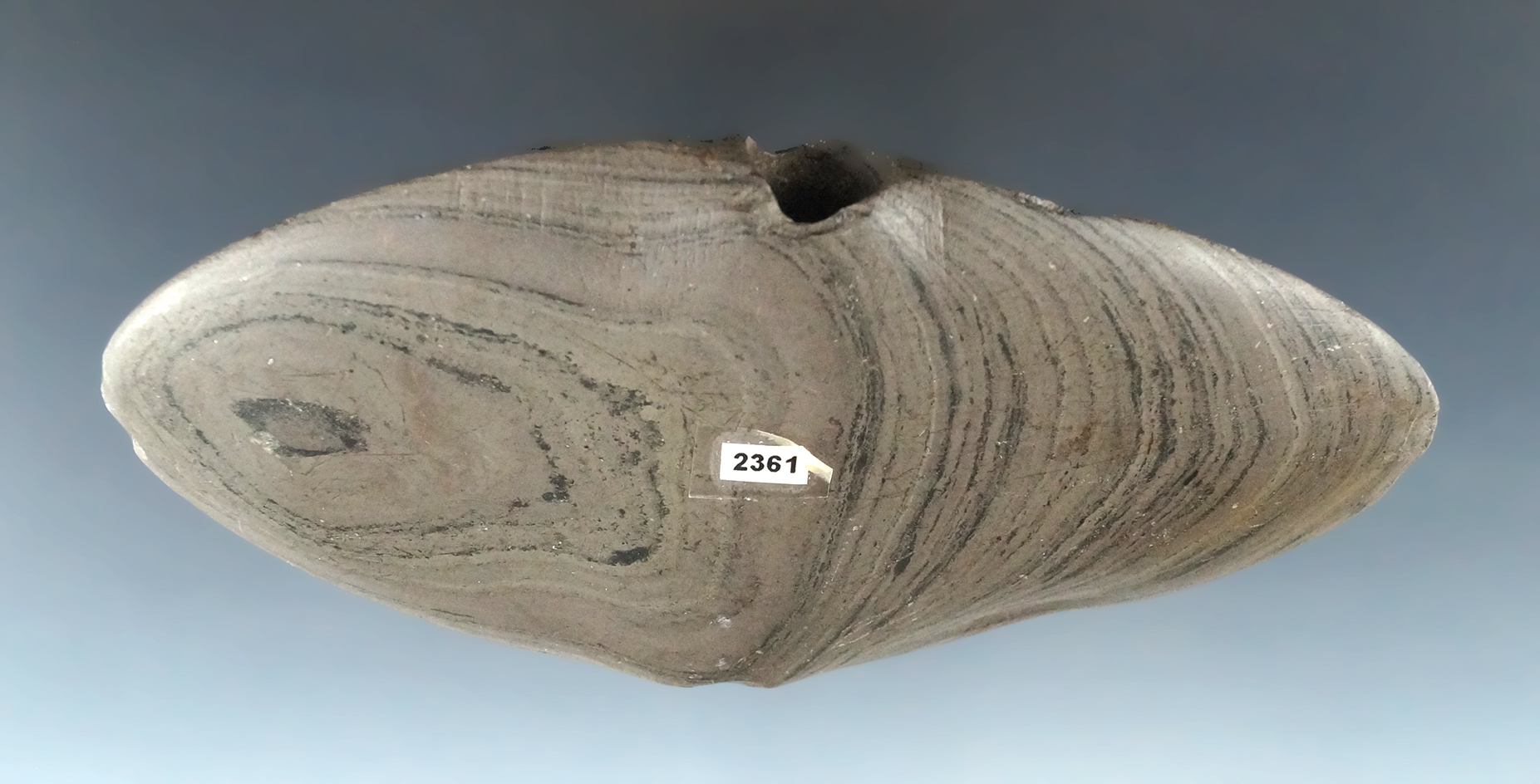 Main artifact image