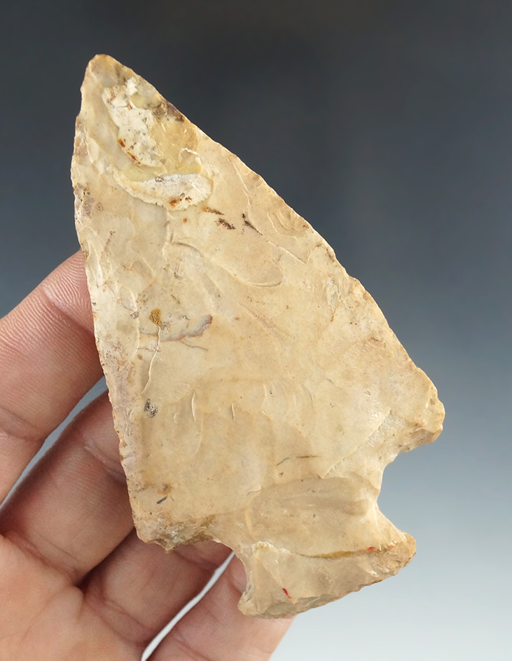 Main artifact image