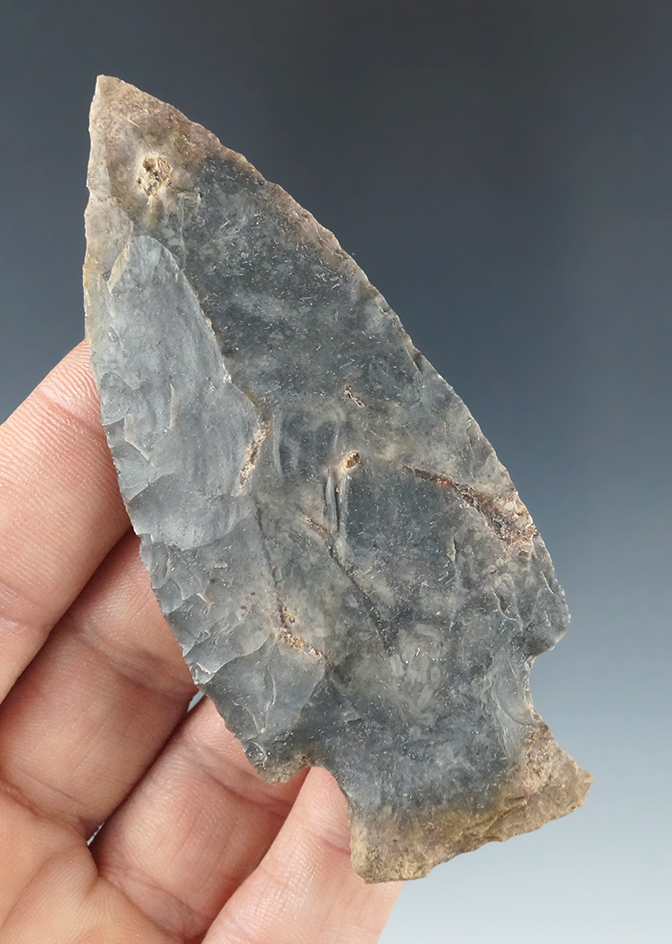 Main artifact image
