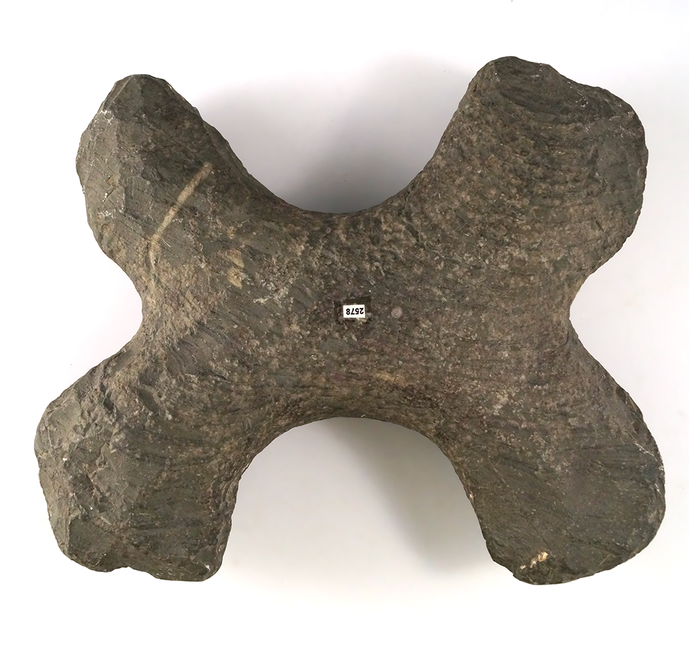 Main artifact image