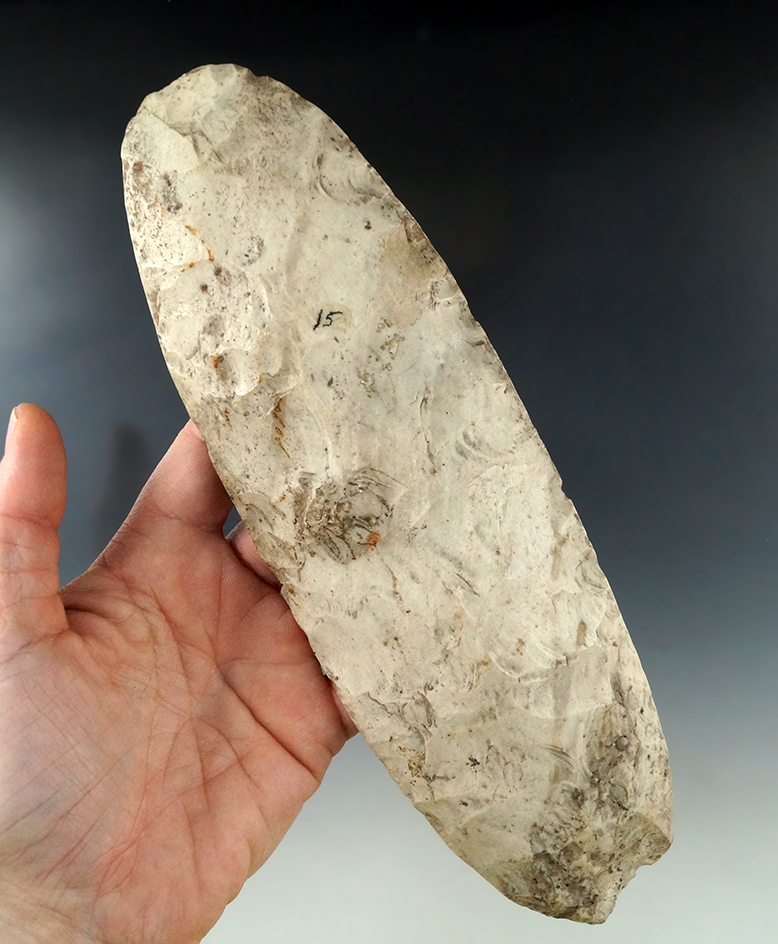 Main artifact image