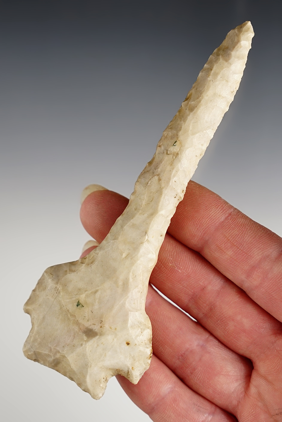 Main artifact image