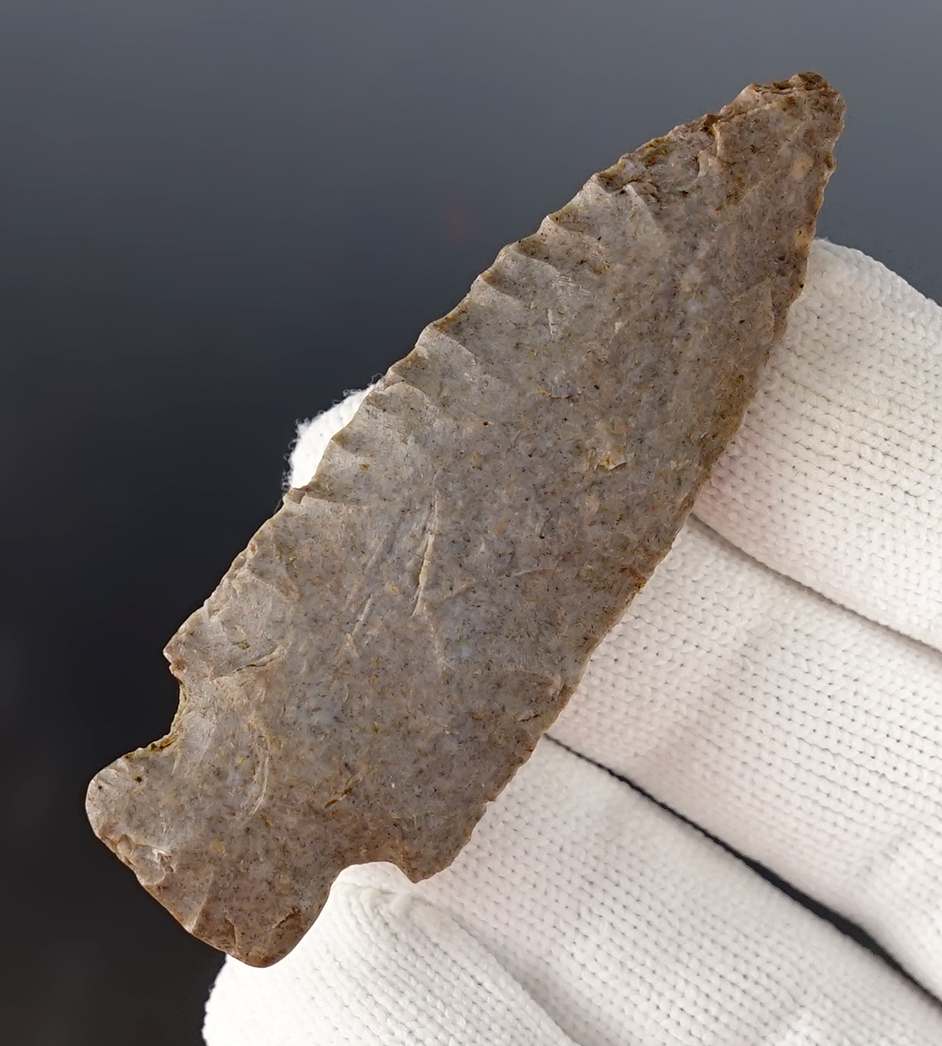 Main artifact image