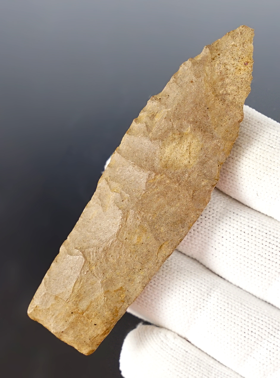 Main artifact image