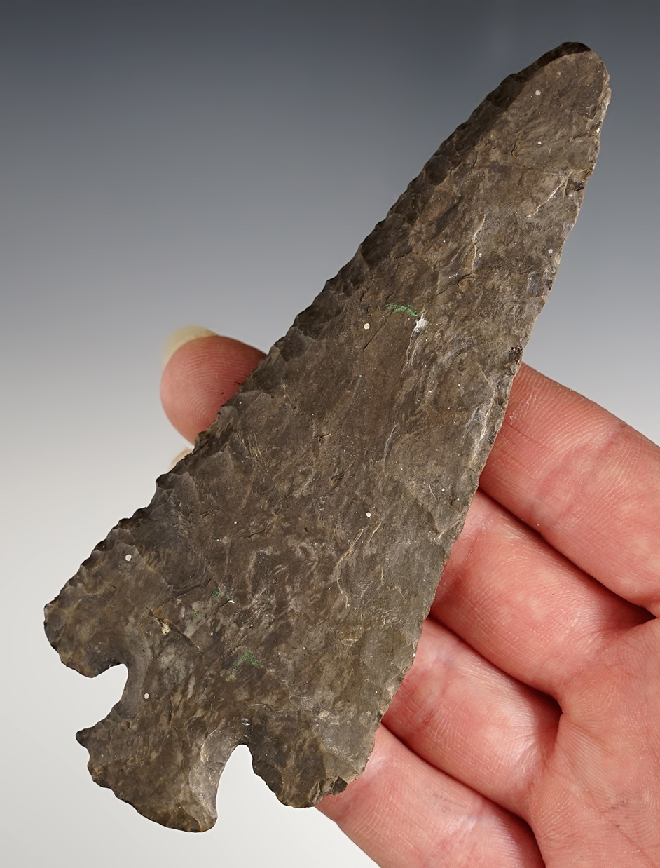 Main artifact image