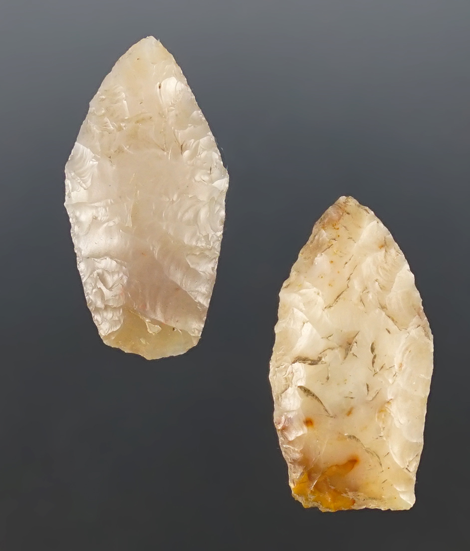 Main artifact image