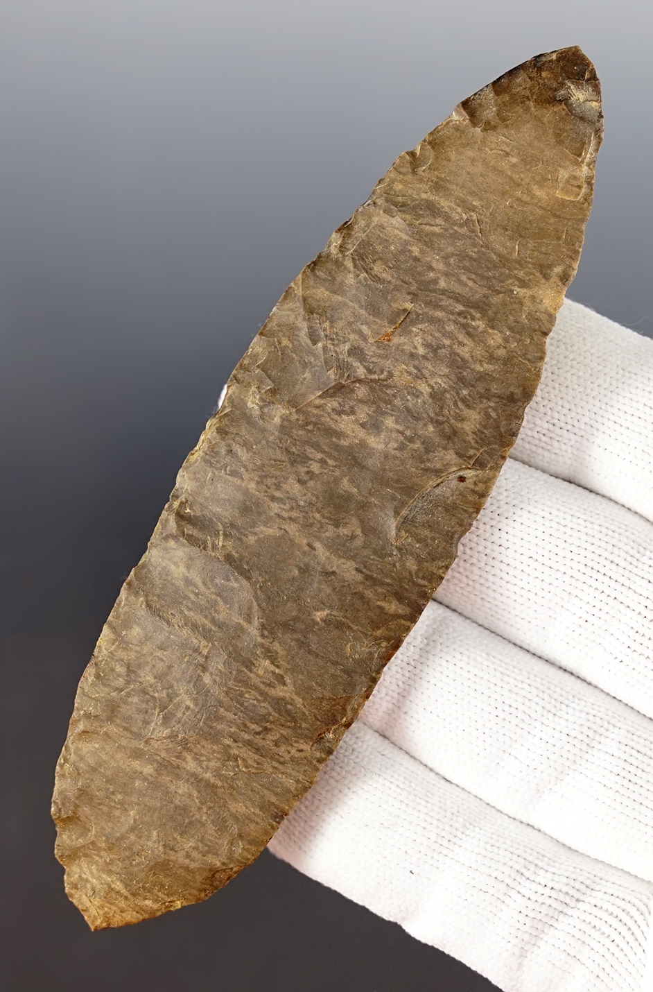 Main artifact image