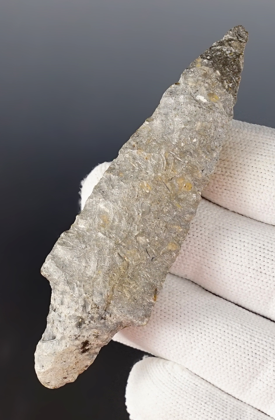 Main artifact image