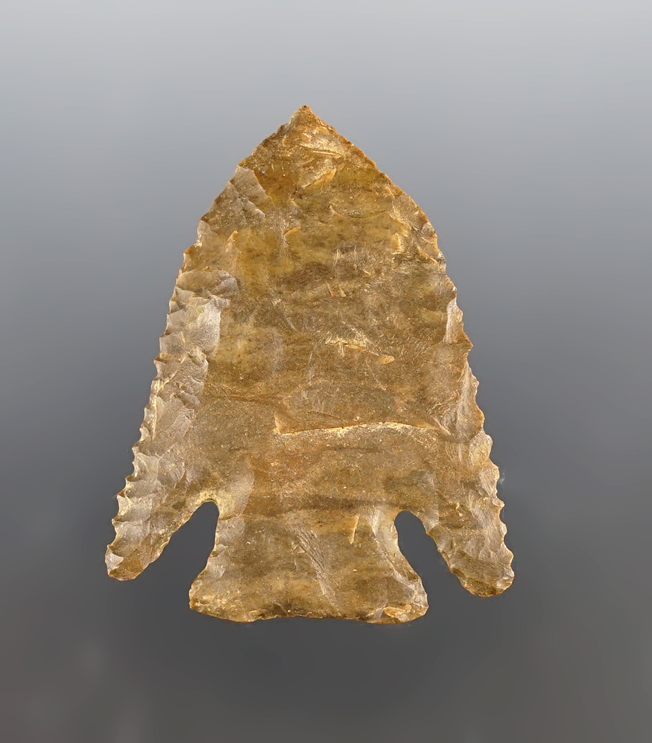 Main artifact image
