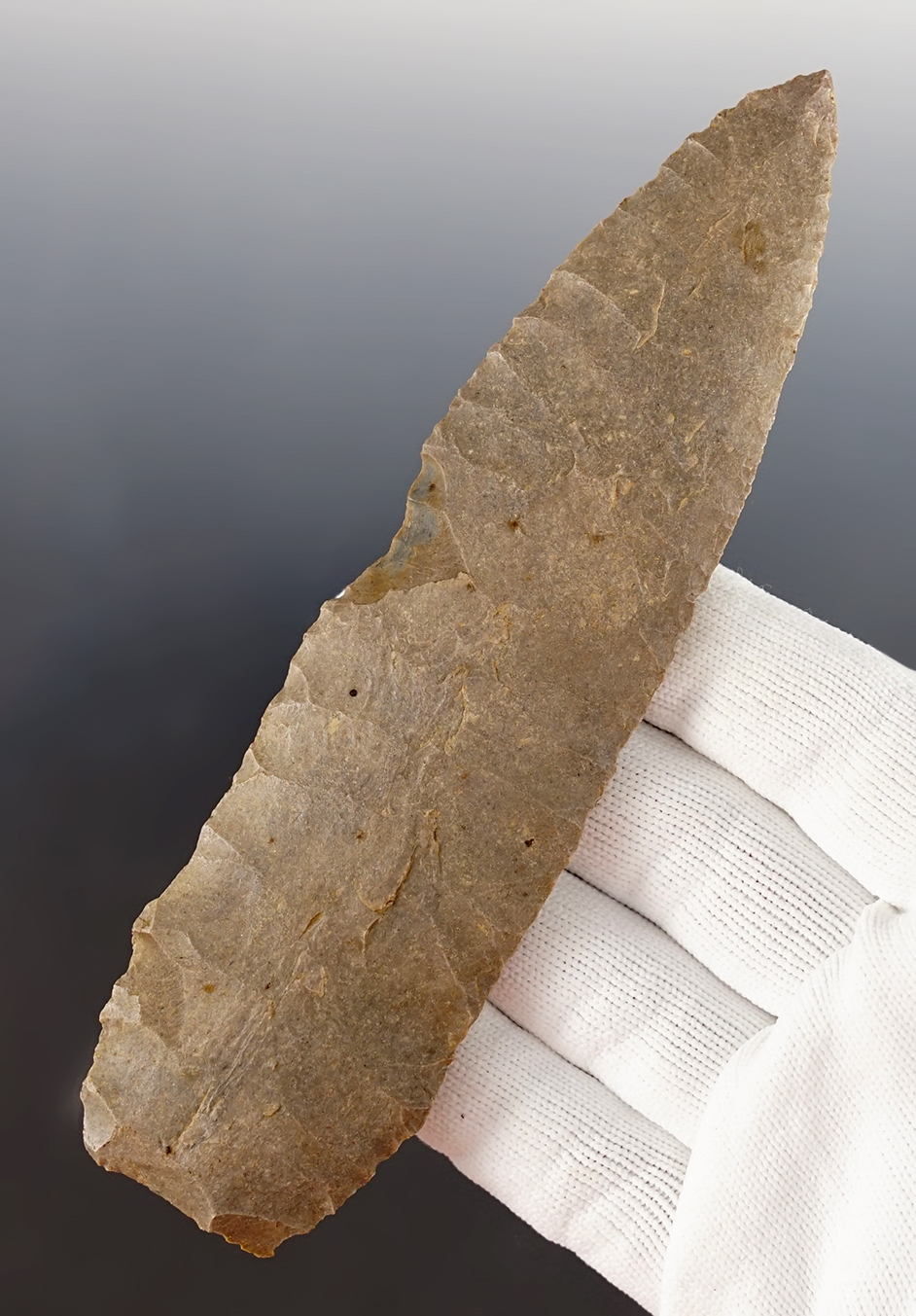 Main artifact image
