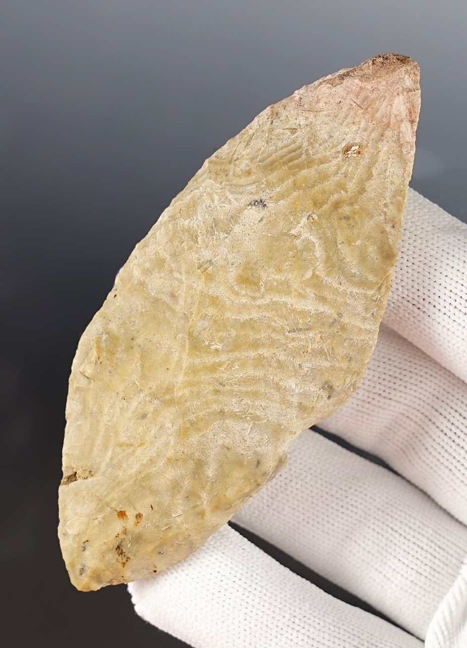 Main artifact image