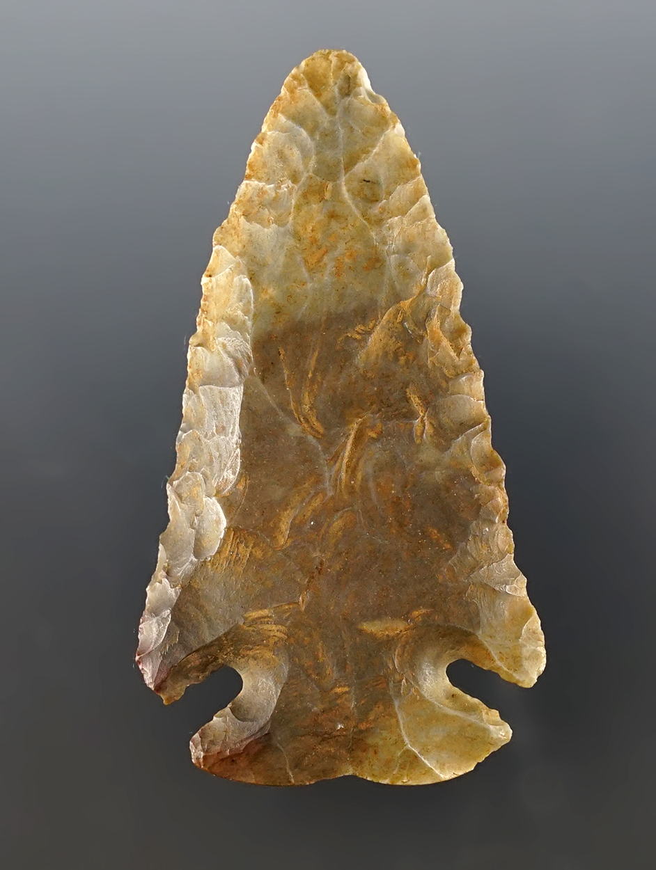 Main artifact image