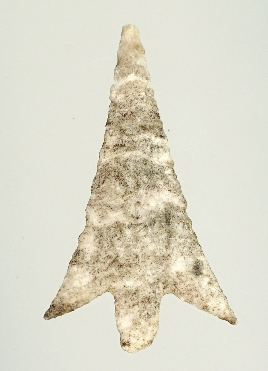 Main artifact image