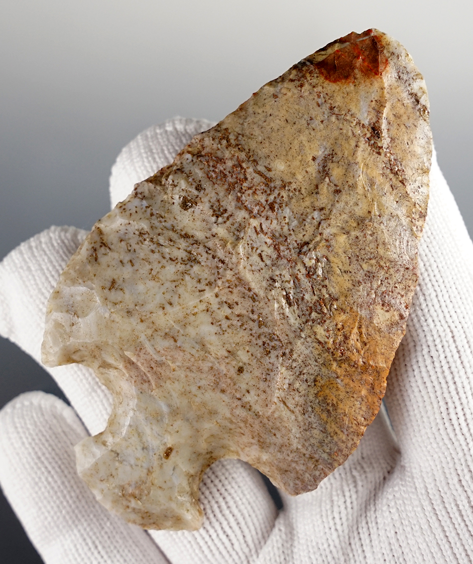 Main artifact image