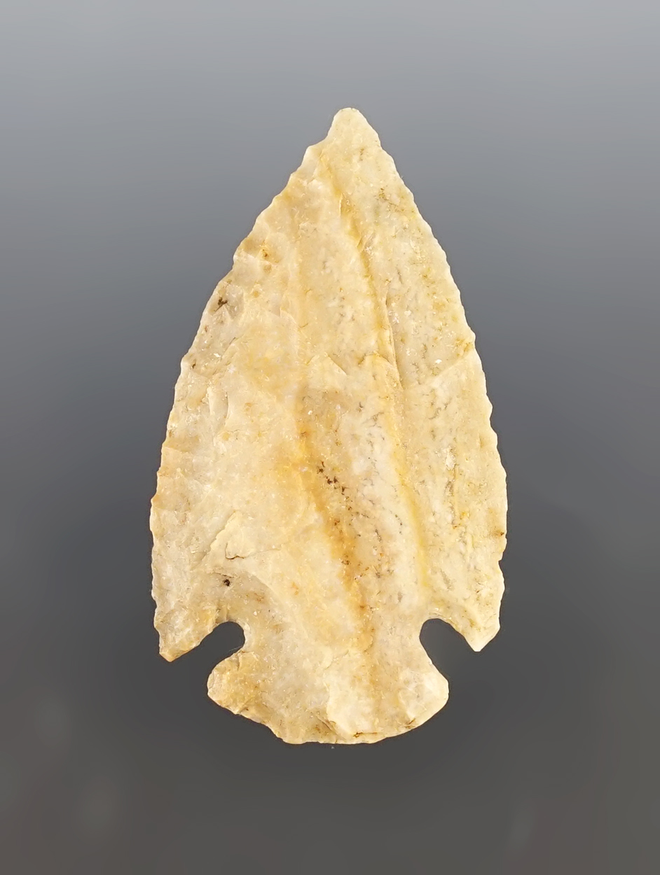 Main artifact image