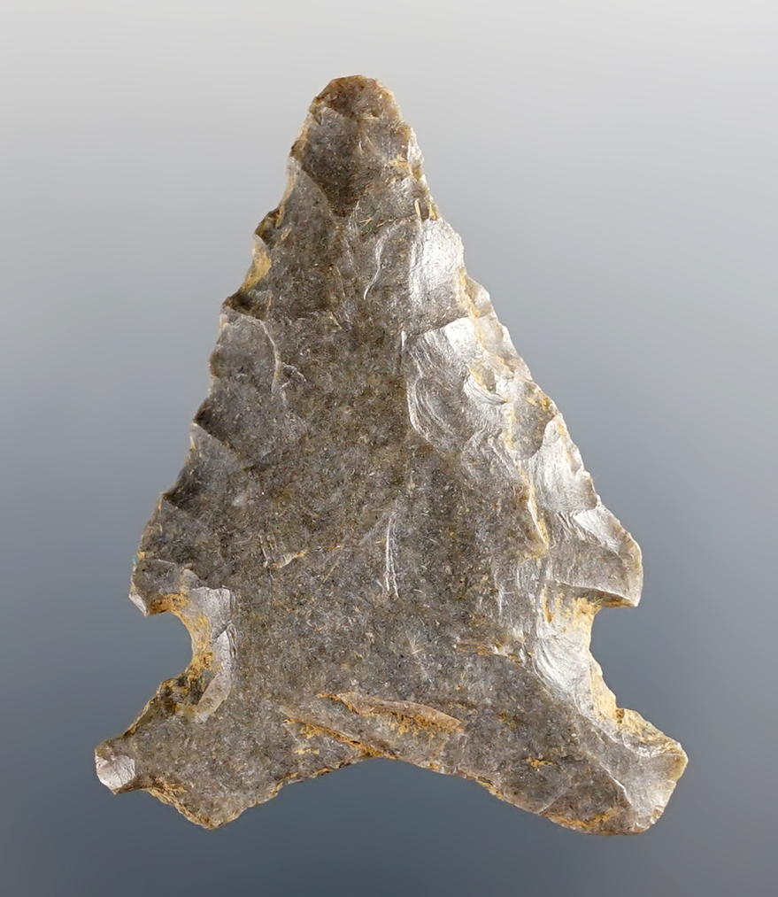 Main artifact image