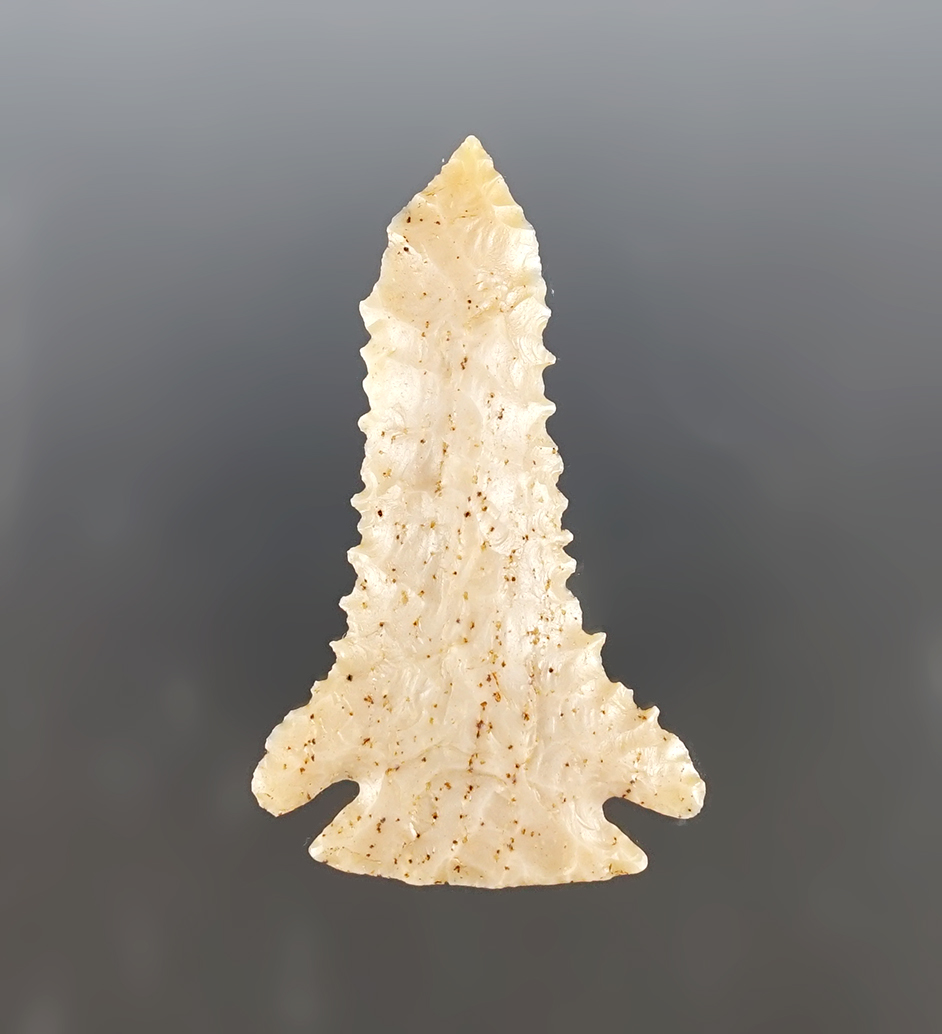 Main artifact image