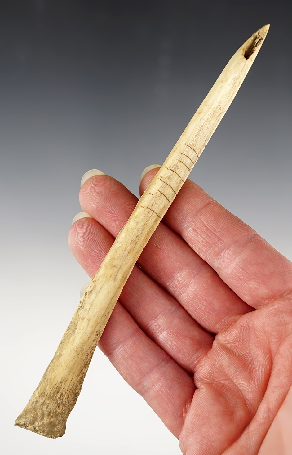Main artifact image