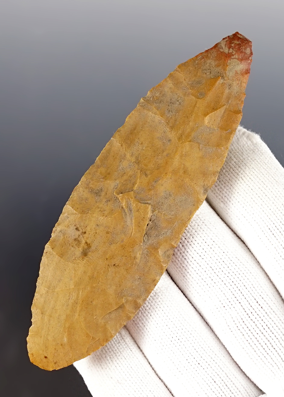 Main artifact image