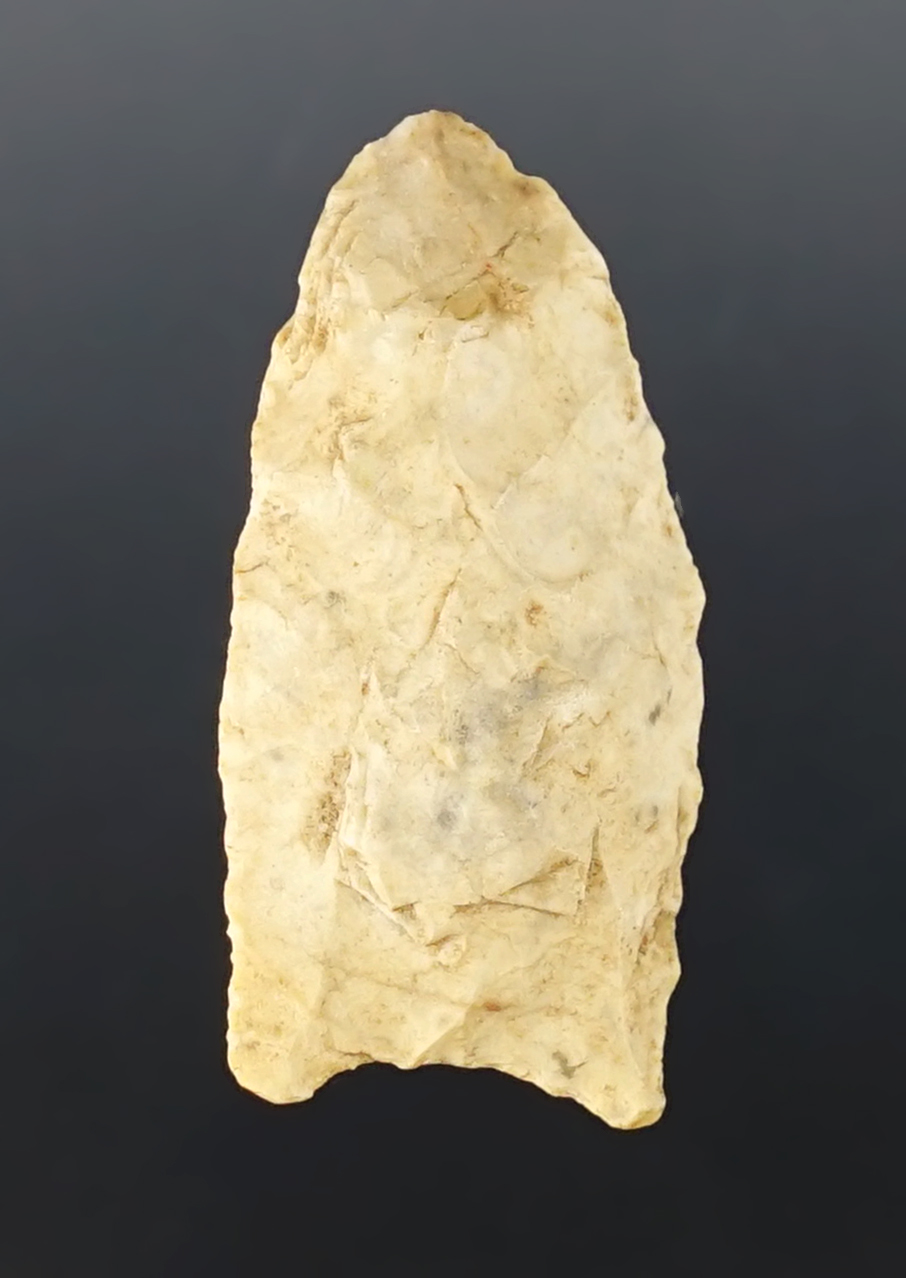 Main artifact image