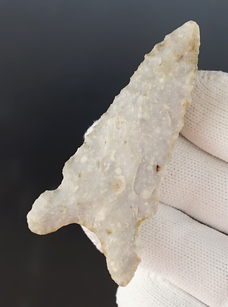 Main artifact image