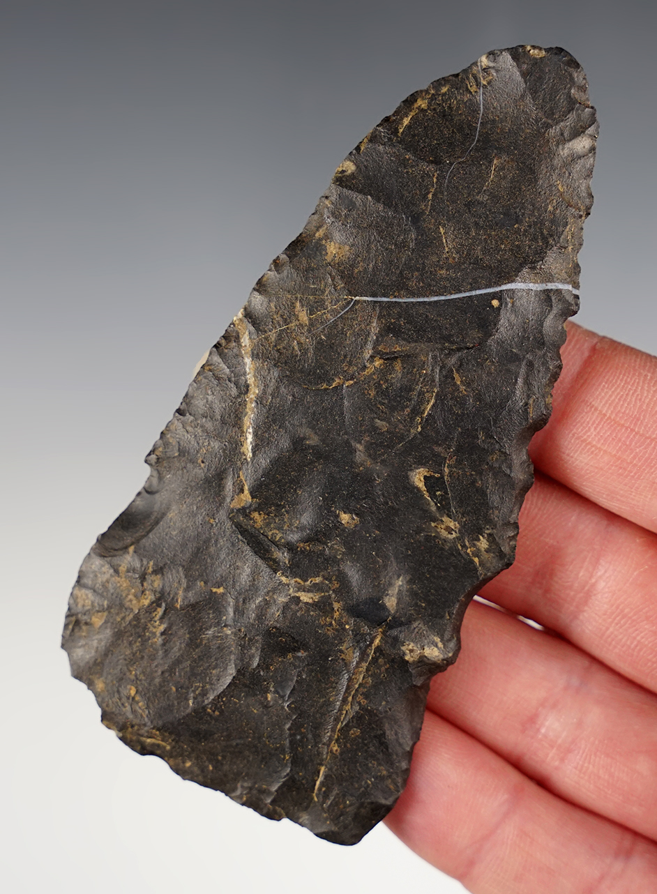 Main artifact image