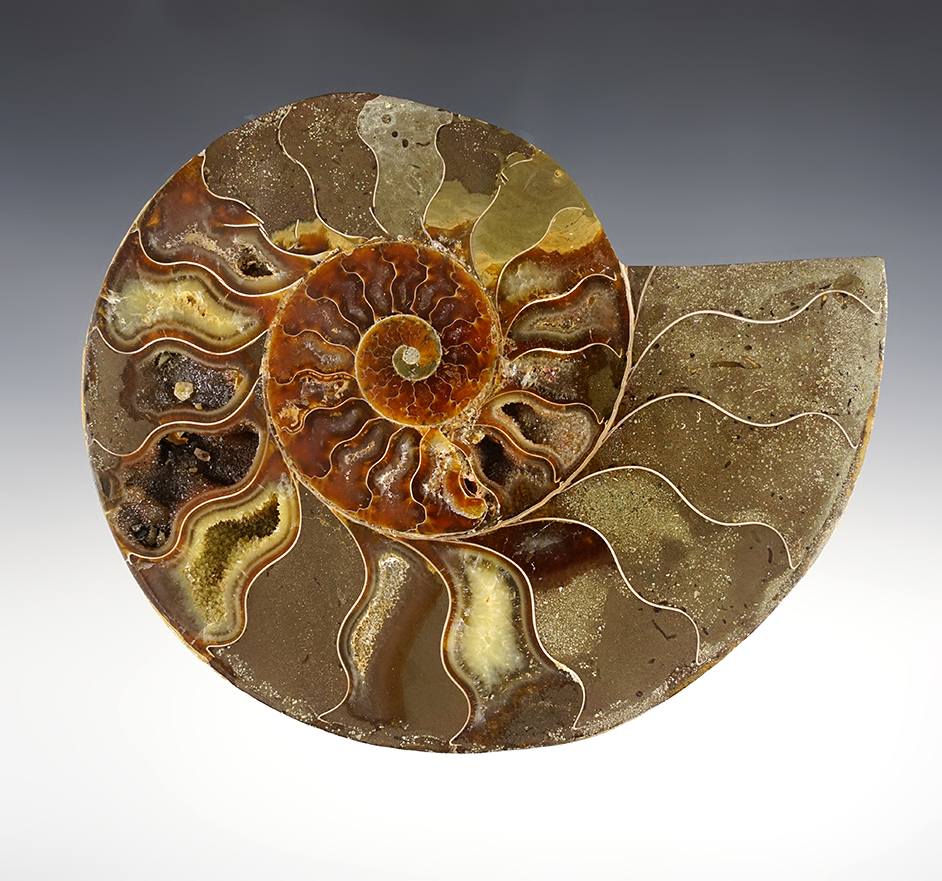 Main artifact image