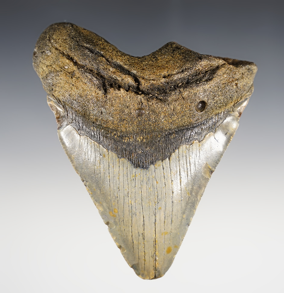 Main artifact image