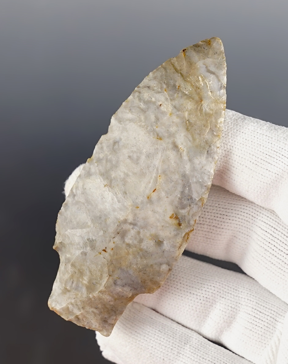 Main artifact image