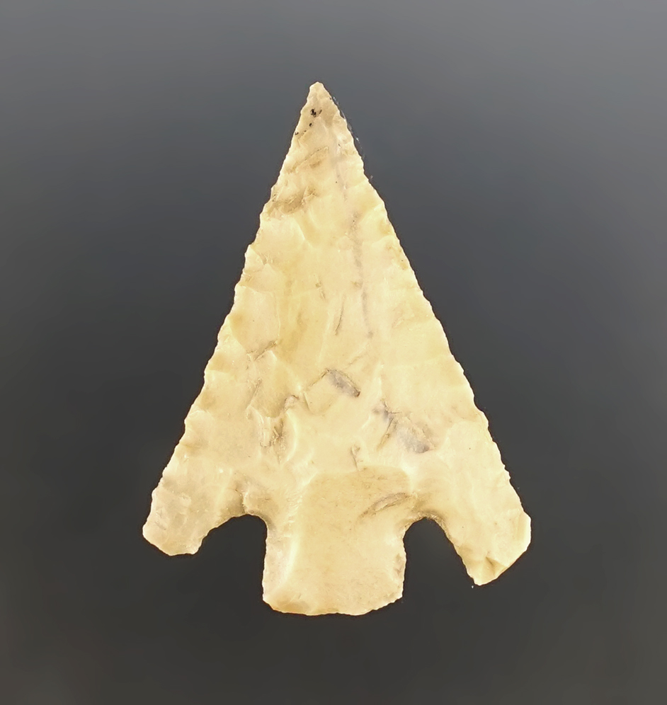 Main artifact image
