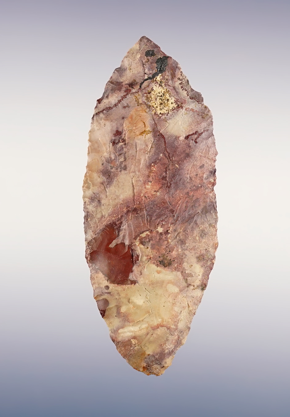 Main artifact image