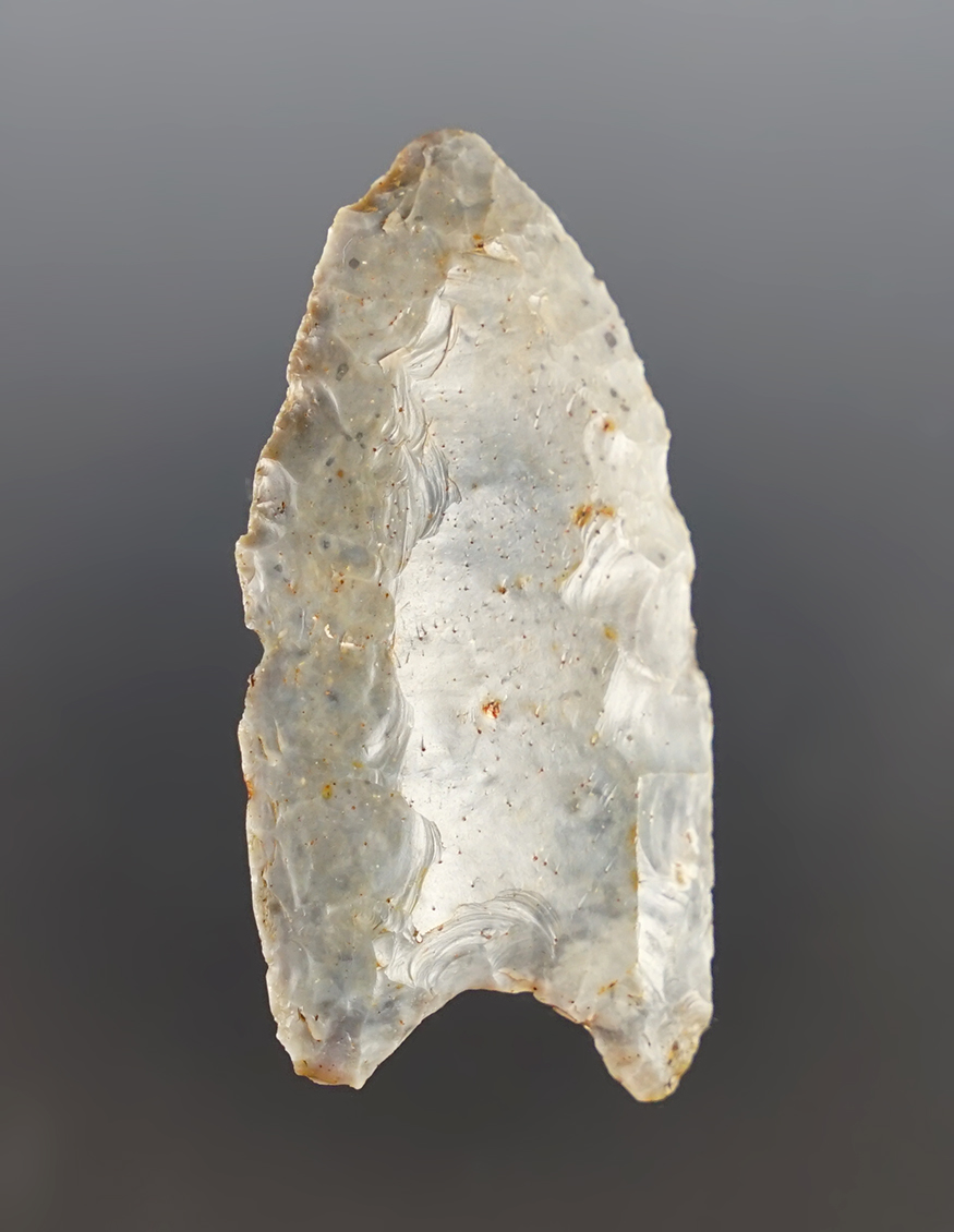 Main artifact image