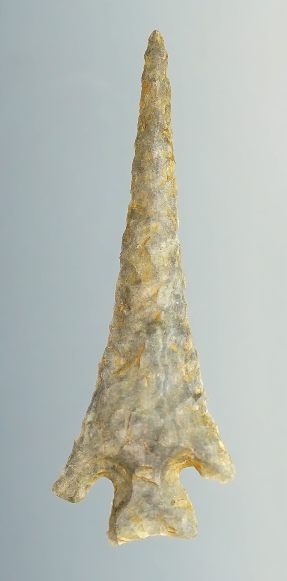 Main artifact image
