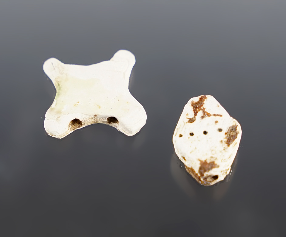 Main artifact image