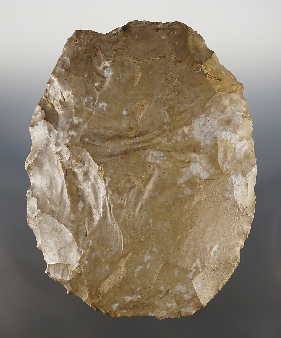 Main artifact image