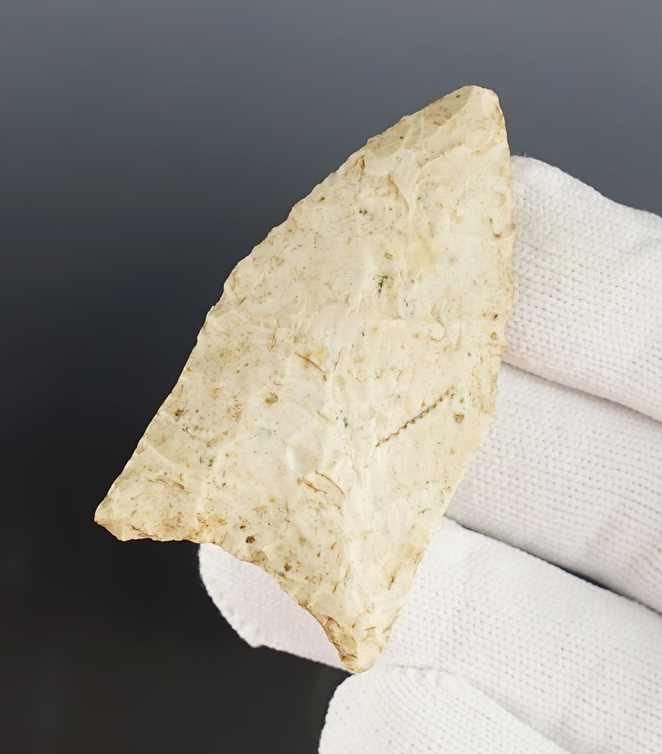 Main artifact image