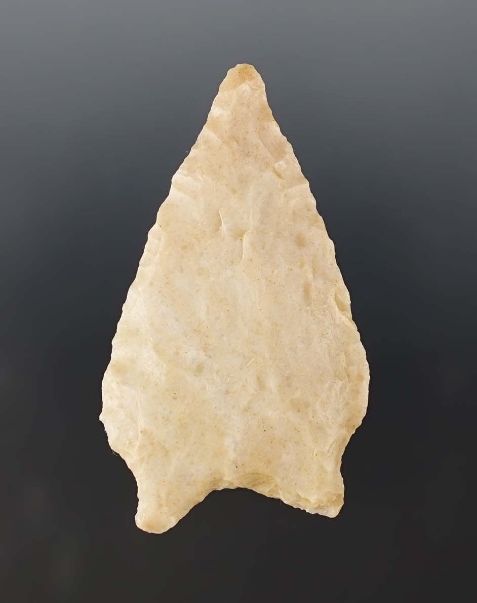 Main artifact image