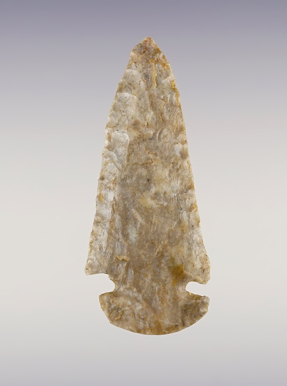Well styled 2 7/16" miniature Flint Ridge Dovetail found in Delaware Co., Ohio. 