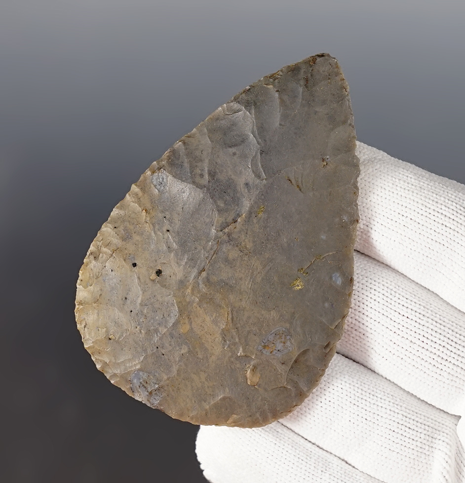 Main artifact image