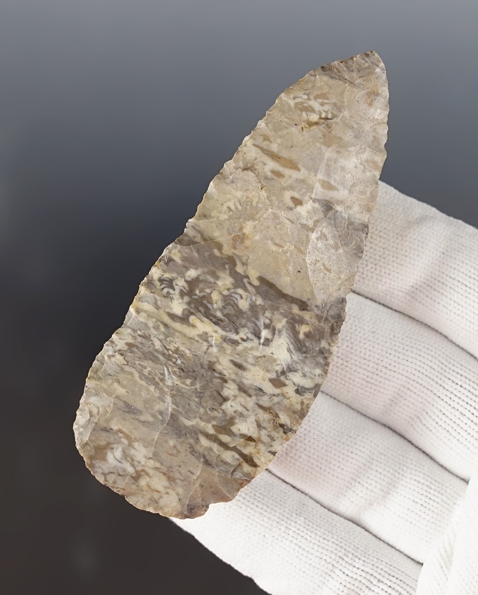 Main artifact image