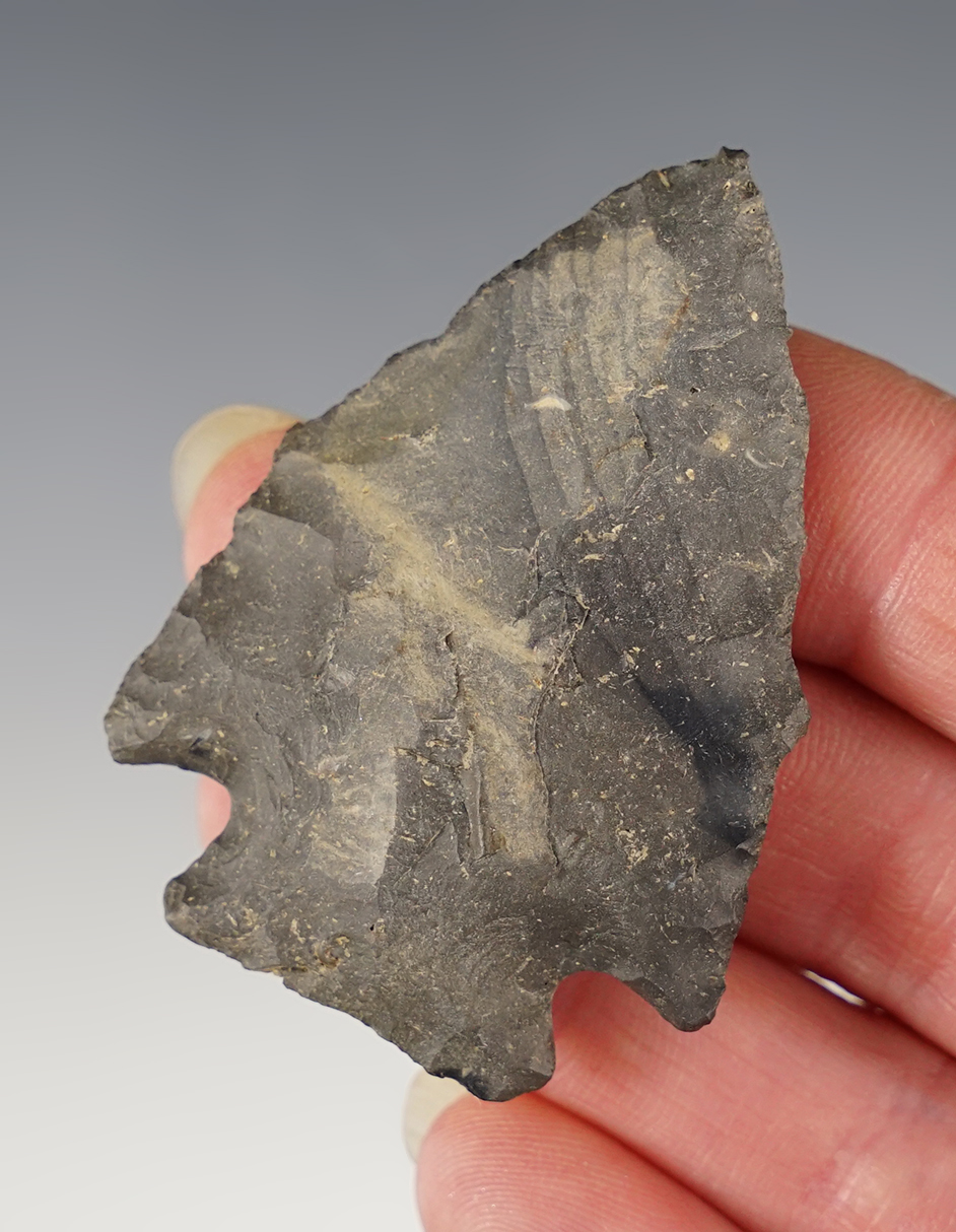 2 1/8" classic Ohio Pentagonal made from patinated Nellie Chert.