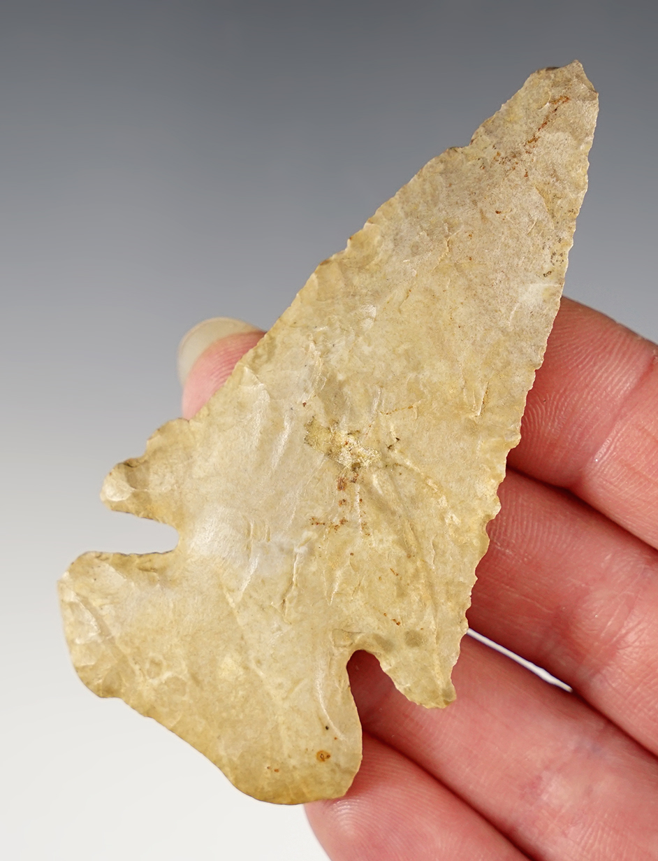 3 1/8" Archaic Thebes that is beveled. Well patinated and found in Ohio.