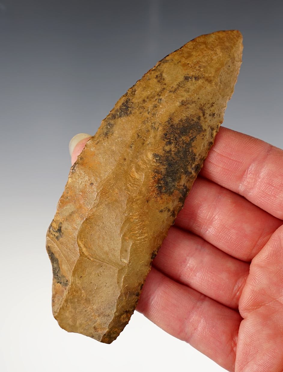 Main artifact image