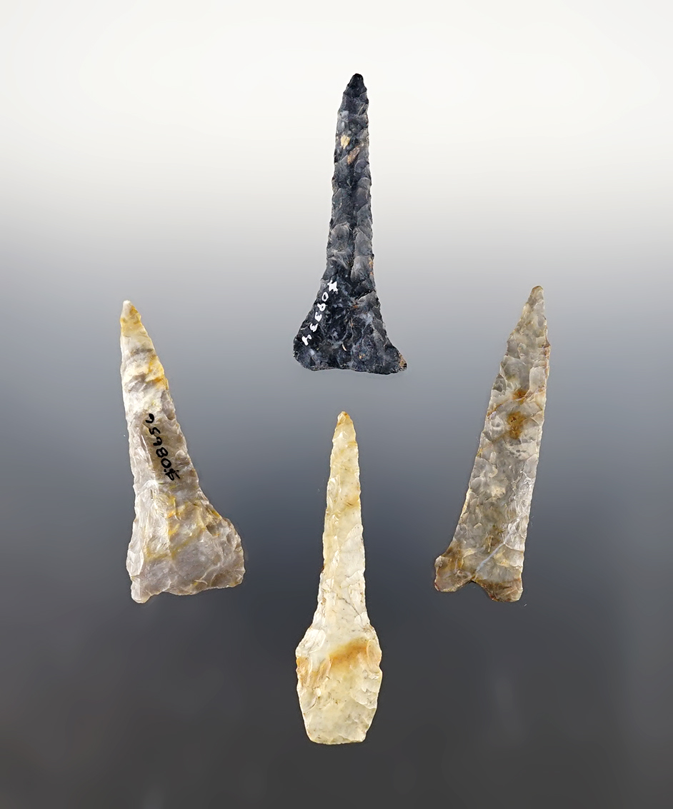 Main artifact image